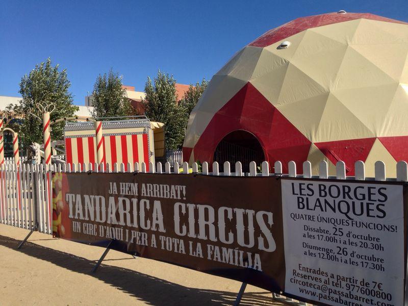 Tandarica Circus Experience